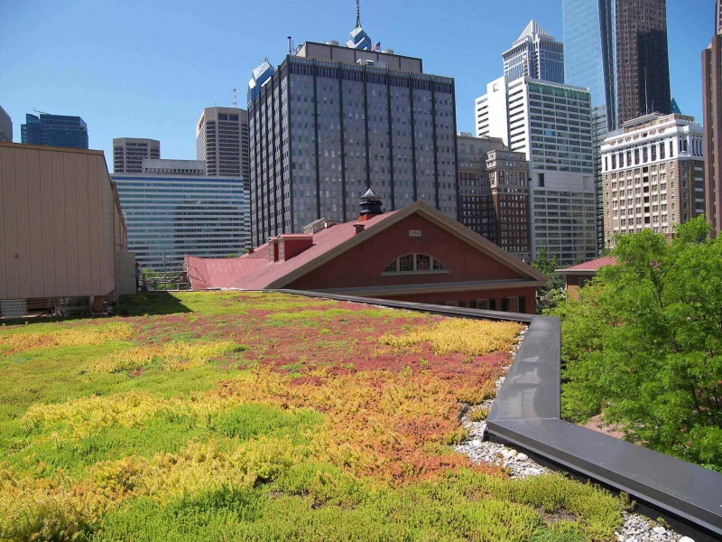 paysagiste-LE CANNET-min_green-roof-portfolio-4